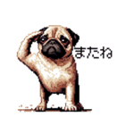 ドット絵 パグ 犬 40種 定番（個別スタンプ：18）