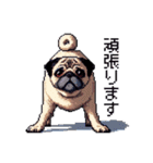 ドット絵 パグ 犬 40種 定番（個別スタンプ：20）