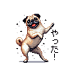 ドット絵 パグ 犬 40種 定番（個別スタンプ：22）