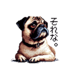 ドット絵 パグ 犬 40種 定番（個別スタンプ：23）