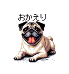 ドット絵 パグ 犬 40種 定番（個別スタンプ：25）