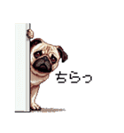 ドット絵 パグ 犬 40種 定番（個別スタンプ：26）