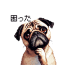 ドット絵 パグ 犬 40種 定番（個別スタンプ：31）