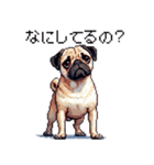 ドット絵 パグ 犬 40種 定番（個別スタンプ：33）