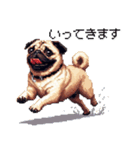 ドット絵 パグ 犬 40種 定番（個別スタンプ：34）