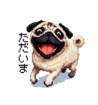 ドット絵 パグ 犬 40種 定番（個別スタンプ：35）