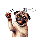 ドット絵 パグ 犬 40種 定番（個別スタンプ：36）