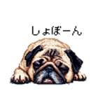 ドット絵 パグ 犬 40種 定番（個別スタンプ：37）