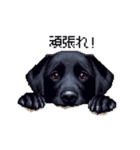 ドット絵 ラブラドール ブラック 40種（個別スタンプ：14）