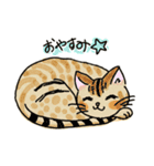 ねこのいっせい1 はじまり（個別スタンプ：6）