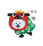 ポメラニアンもふまろ（個別スタンプ：5）