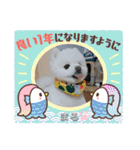 ポメラニアンもふまろ（個別スタンプ：10）