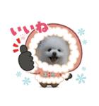 ポメラニアンもふまろ（個別スタンプ：19）