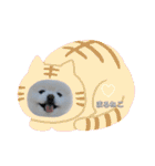 ポメラニアンもふまろ（個別スタンプ：26）