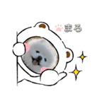 ポメラニアンもふまろ（個別スタンプ：27）