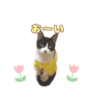 ももなつまみいる（個別スタンプ：1）