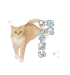 ももなつまみいる（個別スタンプ：3）