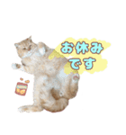 ももなつまみいる（個別スタンプ：6）