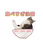 ももなつまみいる（個別スタンプ：10）