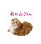 ももなつまみいる（個別スタンプ：14）