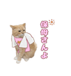 ももなつまみいる（個別スタンプ：18）