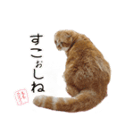 ももなつまみいる（個別スタンプ：20）