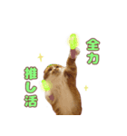 ももなつまみいる（個別スタンプ：23）