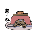 こたんぷ 。（個別スタンプ：36）