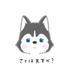 neko's sticker（個別スタンプ：11）