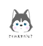 neko's sticker（個別スタンプ：12）