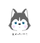 neko's sticker（個別スタンプ：15）