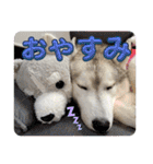 オレオ2（個別スタンプ：2）