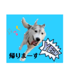 オレオ2（個別スタンプ：33）