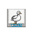 ドット調鳥スタンプ（個別スタンプ：13）