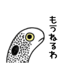 関西弁ちんあなご（個別スタンプ：2）