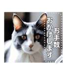【実写風】ハチワレ猫☆毎日使える（個別スタンプ：9）