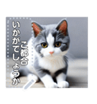 【実写風】ハチワレ猫☆毎日使える（個別スタンプ：16）