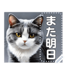 【実写風】ハチワレ猫☆毎日使える（個別スタンプ：24）