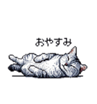 ドット絵 サバトラ 猫 日常会話 40種（個別スタンプ：2）