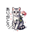 ドット絵 サバトラ 猫 日常会話 40種（個別スタンプ：3）