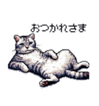 ドット絵 サバトラ 猫 日常会話 40種（個別スタンプ：4）