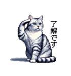 ドット絵 サバトラ 猫 日常会話 40種（個別スタンプ：6）