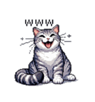 ドット絵 サバトラ 猫 日常会話 40種（個別スタンプ：8）