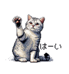 ドット絵 サバトラ 猫 日常会話 40種（個別スタンプ：9）