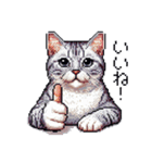 ドット絵 サバトラ 猫 日常会話 40種（個別スタンプ：11）