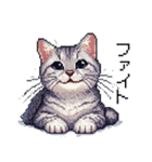 ドット絵 サバトラ 猫 日常会話 40種（個別スタンプ：15）