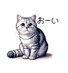 ドット絵 サバトラ 猫 日常会話 40種（個別スタンプ：18）