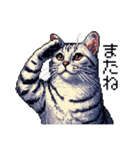 ドット絵 サバトラ 猫 日常会話 40種（個別スタンプ：19）