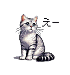 ドット絵 サバトラ 猫 日常会話 40種（個別スタンプ：20）