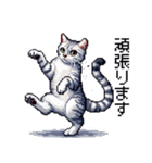 ドット絵 サバトラ 猫 日常会話 40種（個別スタンプ：21）